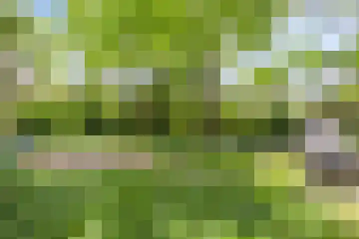 Oterlekerweg 2 B Stompetoren thumbnail 55