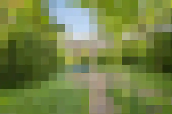 Oterlekerweg 2 B Stompetoren thumbnail 56