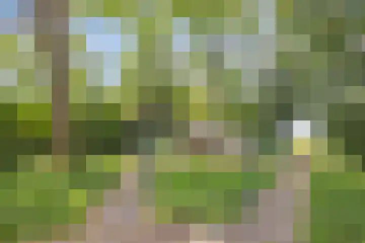 Oterlekerweg 2 B Stompetoren thumbnail 58
