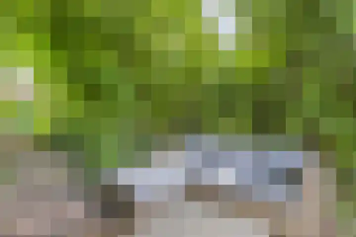Oterlekerweg 2 B Stompetoren thumbnail 59