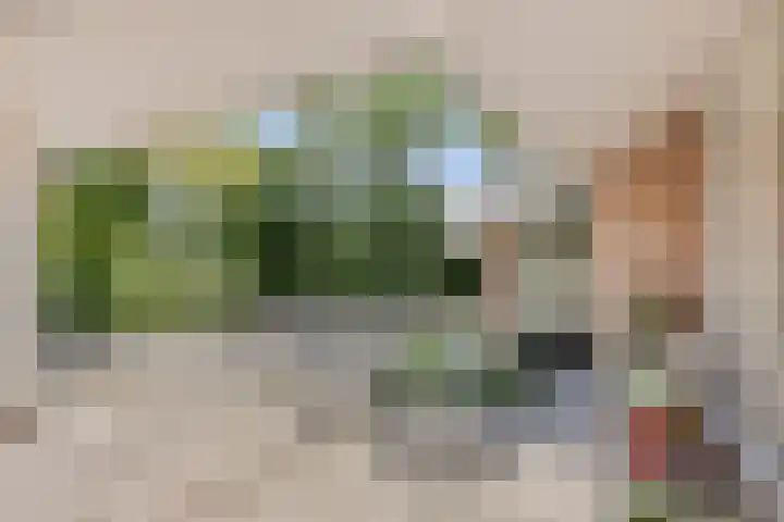 Oterlekerweg 2 B Stompetoren thumbnail 6