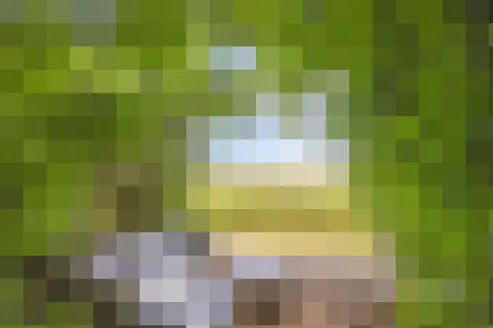 Oterlekerweg 2 B Stompetoren thumbnail 60