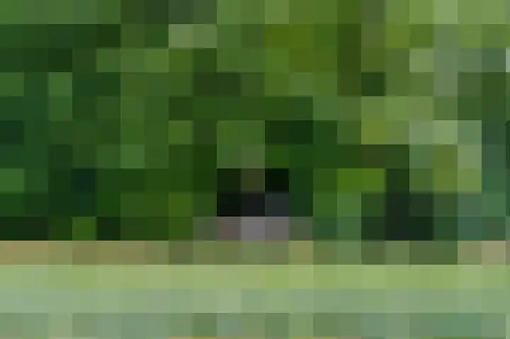 Oterlekerweg 2 B Stompetoren thumbnail 62