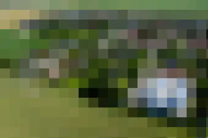 Oterlekerweg 2 B Stompetoren thumbnail 64