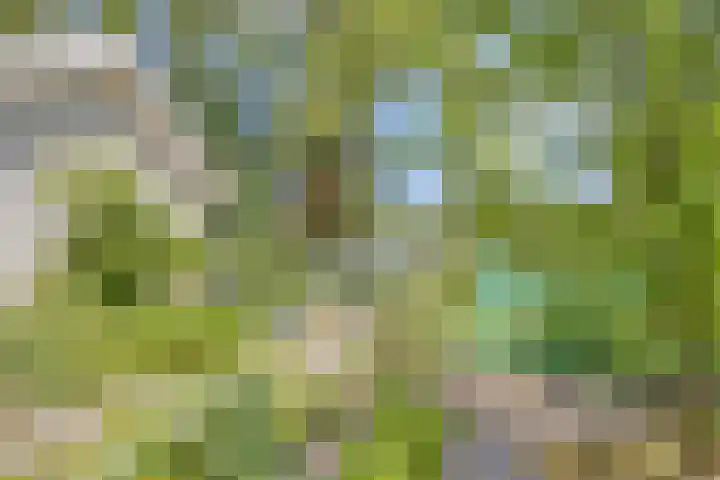 Oterlekerweg 2 B Stompetoren thumbnail 67