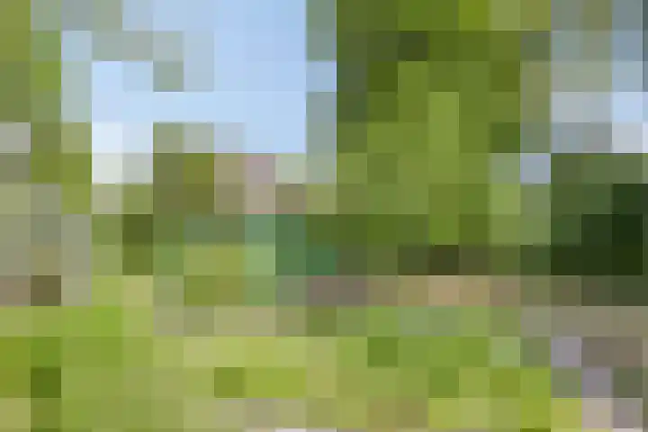 Oterlekerweg 2 B Stompetoren thumbnail 68
