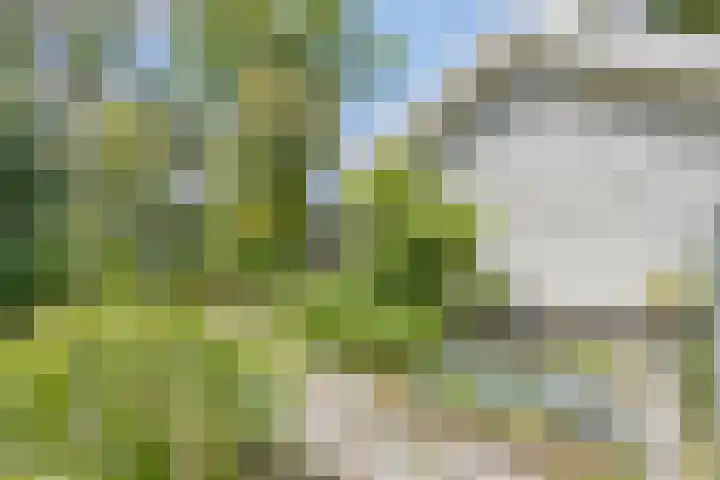 Oterlekerweg 2 B Stompetoren thumbnail 69