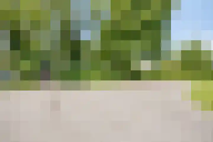 Oterlekerweg 2 B Stompetoren thumbnail 70