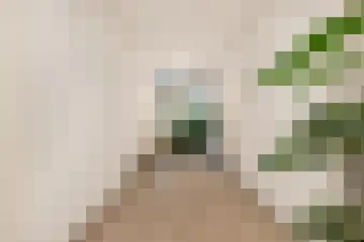 Oterlekerweg 20 K Stompetoren thumbnail 4