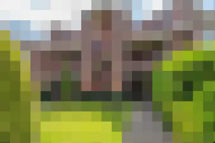 Oterlekerweg 30 Stompetoren thumbnail 23