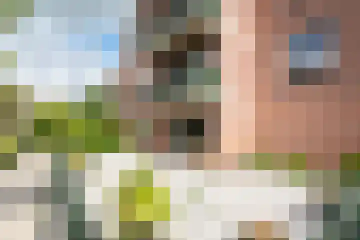 Oterlekerweg 30 Stompetoren thumbnail 27