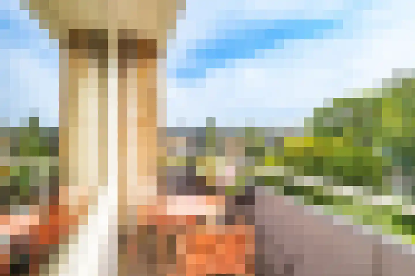 Othellodreef 107 Utrecht thumbnail 12