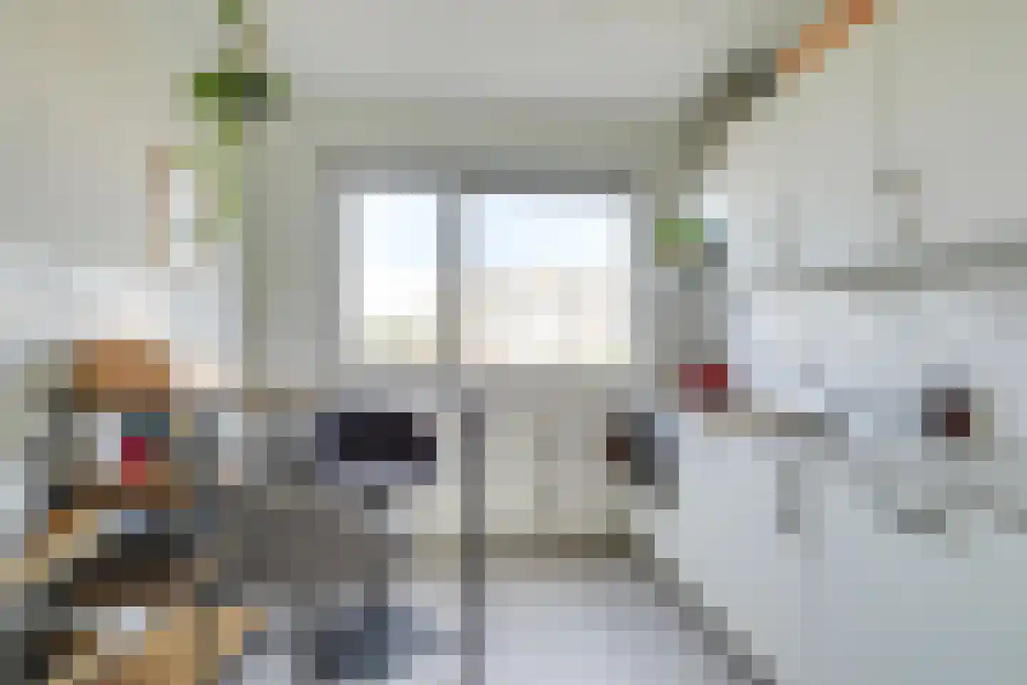 Othellodreef 107 Utrecht thumbnail 21