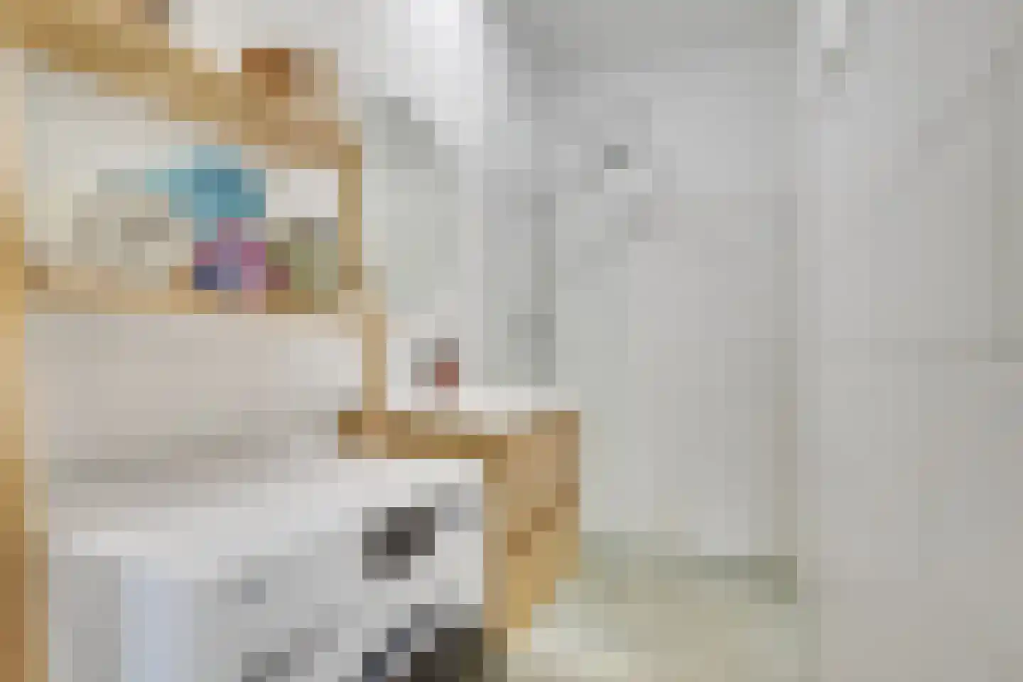 Othellodreef 107 Utrecht thumbnail 33