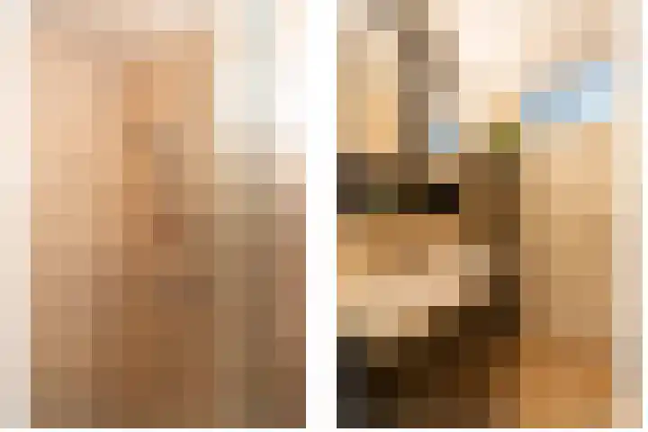 Othellodreef 109 Utrecht thumbnail 33