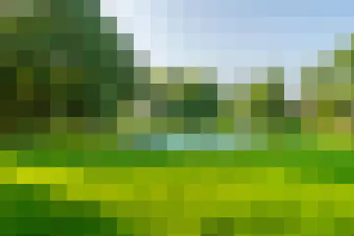 Othellodreef 109 Utrecht thumbnail 36