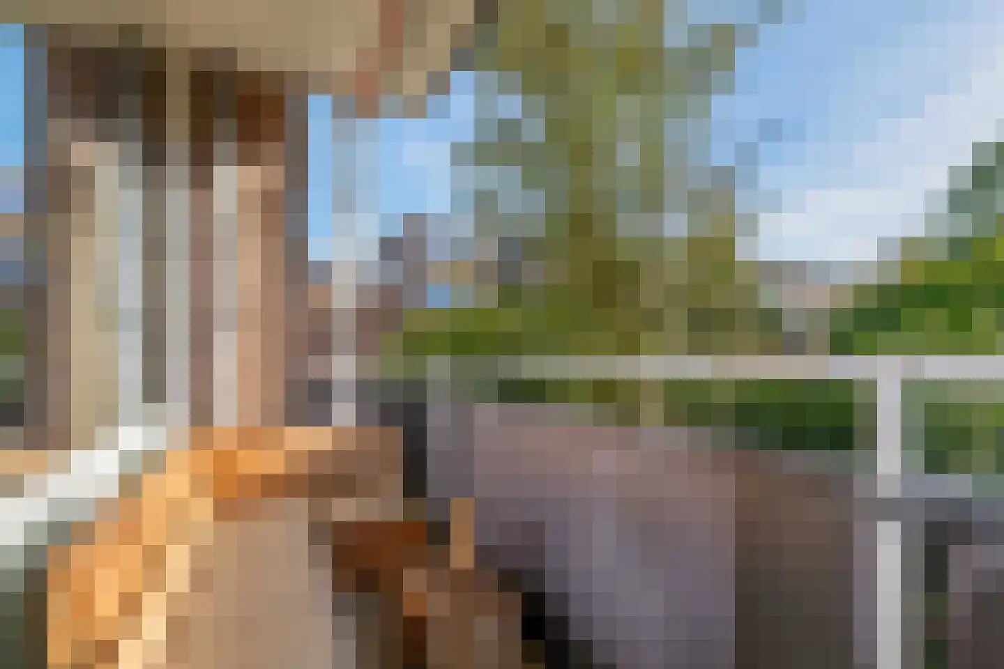 Othellodreef 113 Utrecht thumbnail 20