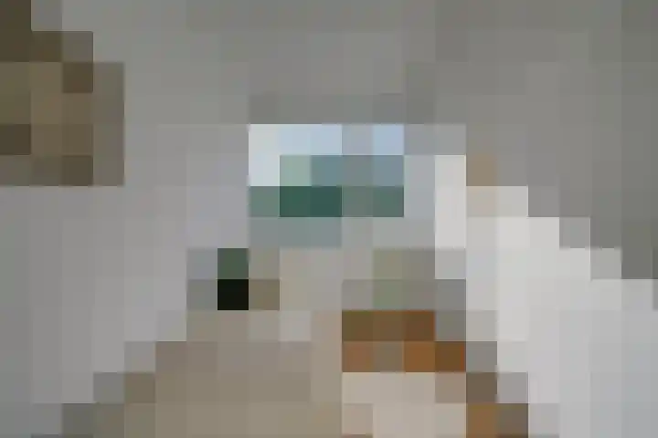 Othellodreef 121 Utrecht thumbnail 13