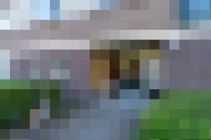 Othellodreef 121 Utrecht thumbnail 21