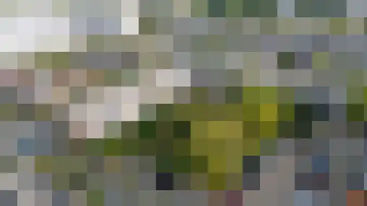 Othellodreef 121 Utrecht thumbnail 26