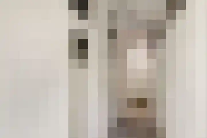 Othellodreef 37 Utrecht thumbnail 26