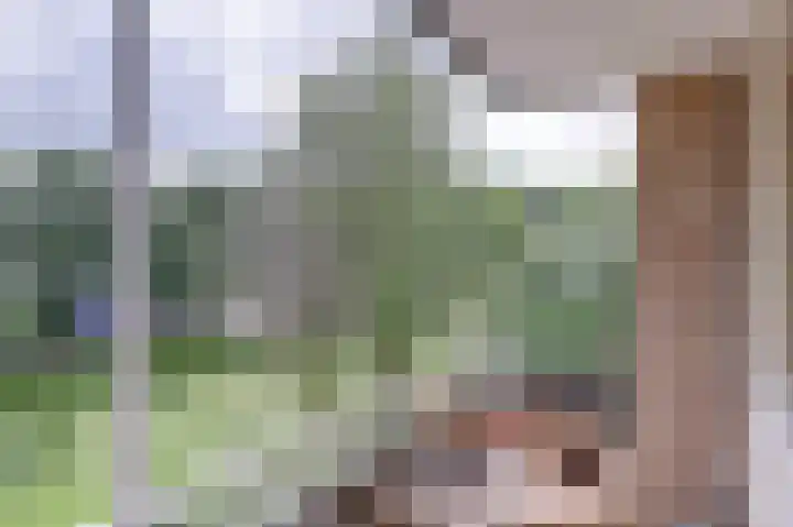 Othellodreef 37 Utrecht thumbnail 4