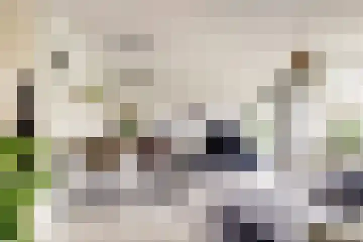 Othellodreef 37 Utrecht thumbnail 7