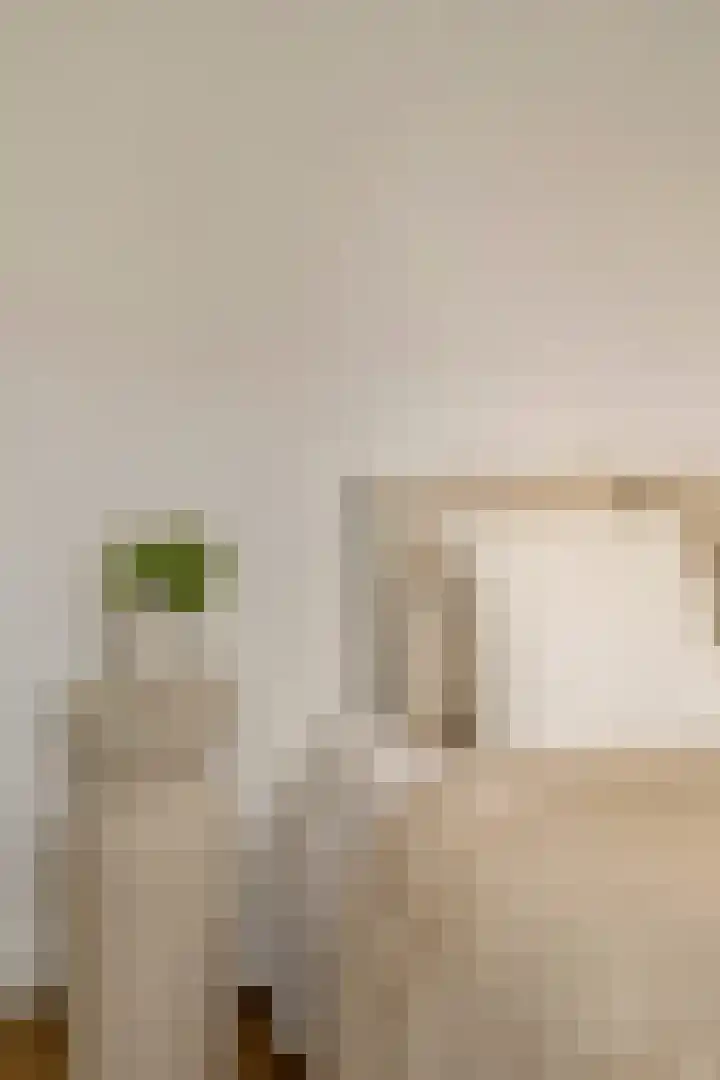 Othellodreef 45 A Utrecht thumbnail 15