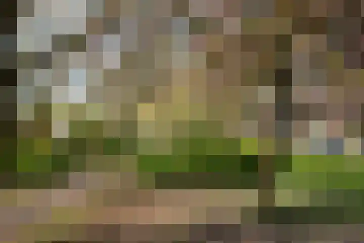 Othellodreef 45 A Utrecht thumbnail 30