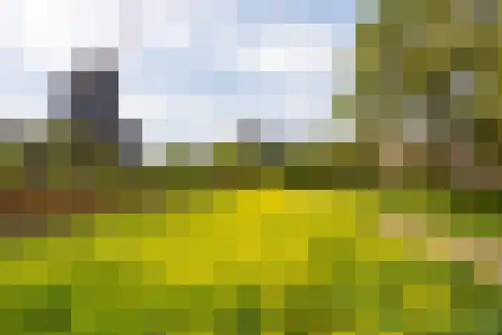 Othellodreef 45 A Utrecht thumbnail 31