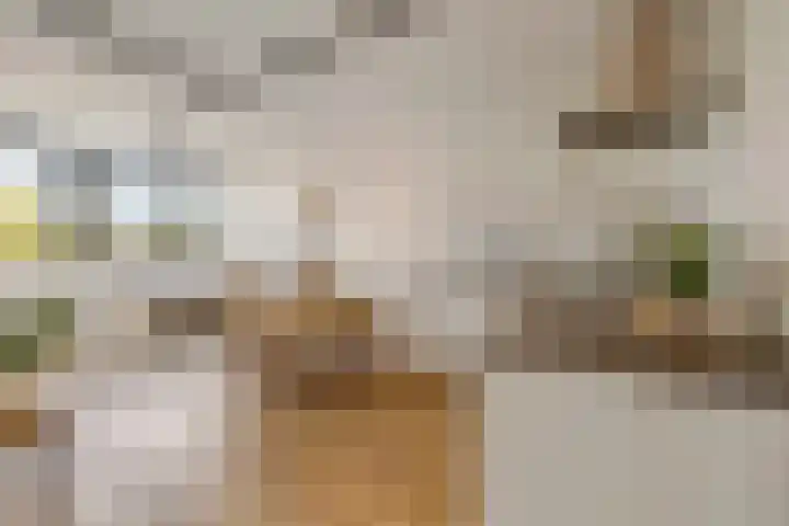 Othellodreef 45 A Utrecht thumbnail 5