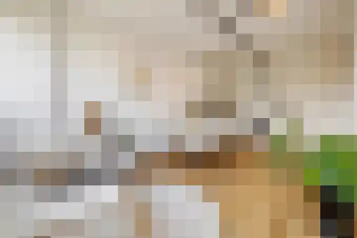 Othellodreef 45 A Utrecht thumbnail 6