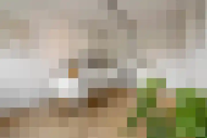 Othellodreef 45 A Utrecht thumbnail 9