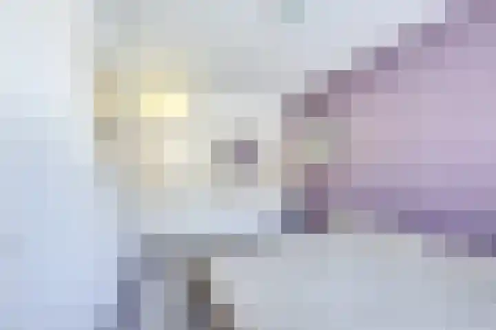 Othellodreef 49 Utrecht thumbnail 27