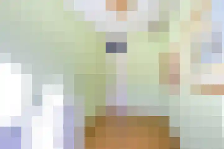 Othellodreef 49 Utrecht thumbnail 29