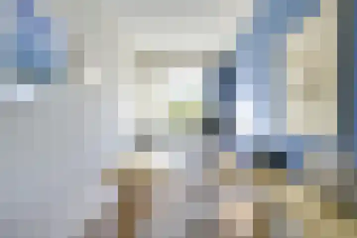 Othellodreef 49 Utrecht thumbnail 30