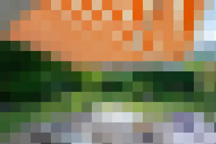 Othellodreef 49 Utrecht thumbnail 36