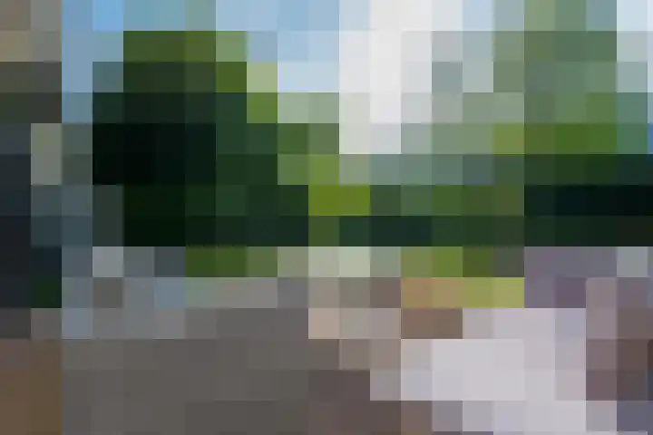 Othellodreef 49 Utrecht thumbnail 37