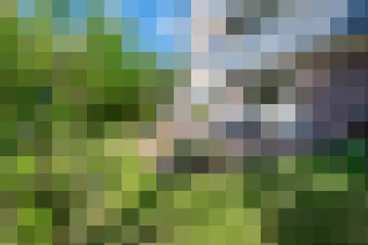 Othellodreef 49 Utrecht thumbnail 38