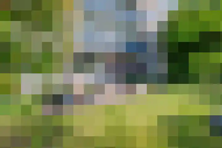 Othellodreef 49 Utrecht thumbnail 39
