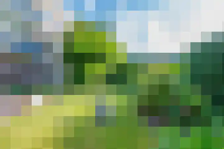 Othellodreef 49 Utrecht thumbnail 40