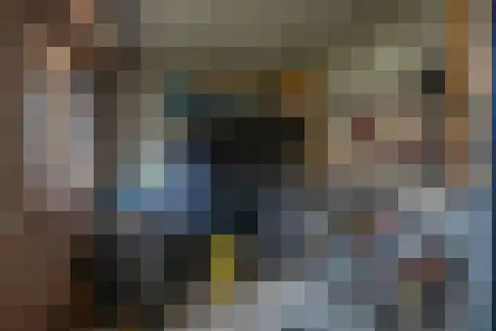 Othellodreef 49 Utrecht thumbnail 44
