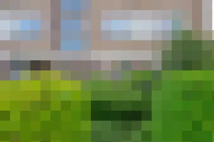 Othellodreef 49 Utrecht thumbnail 47