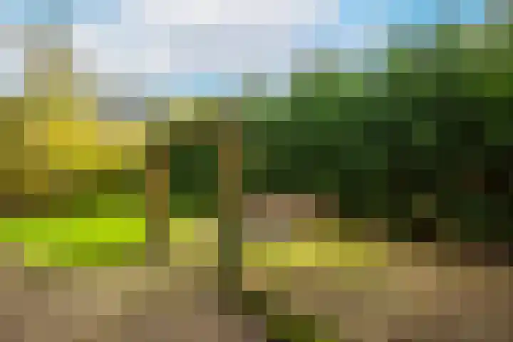 Othellodreef 63 Utrecht thumbnail 10