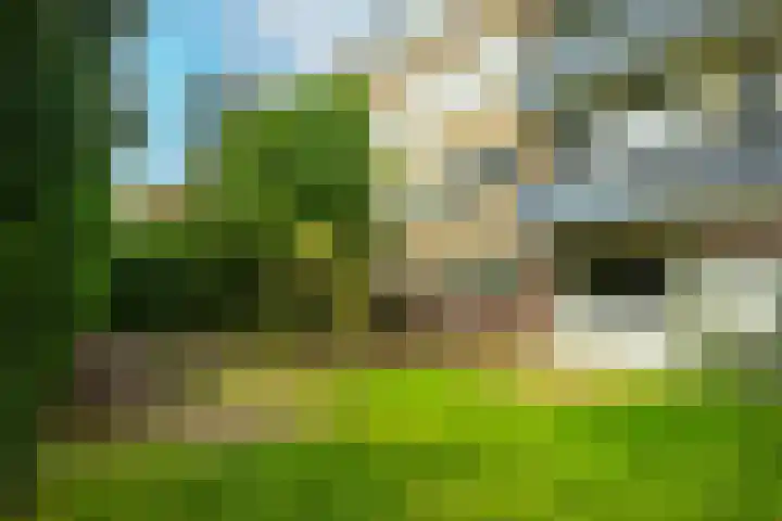 Othellodreef 63 Utrecht thumbnail 11