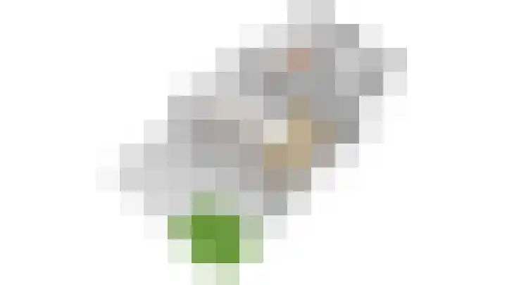 Othellodreef 63 Utrecht thumbnail 48