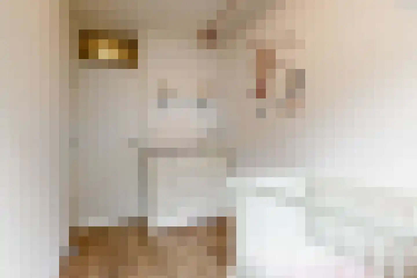 Othellodreef 97 Utrecht thumbnail 20