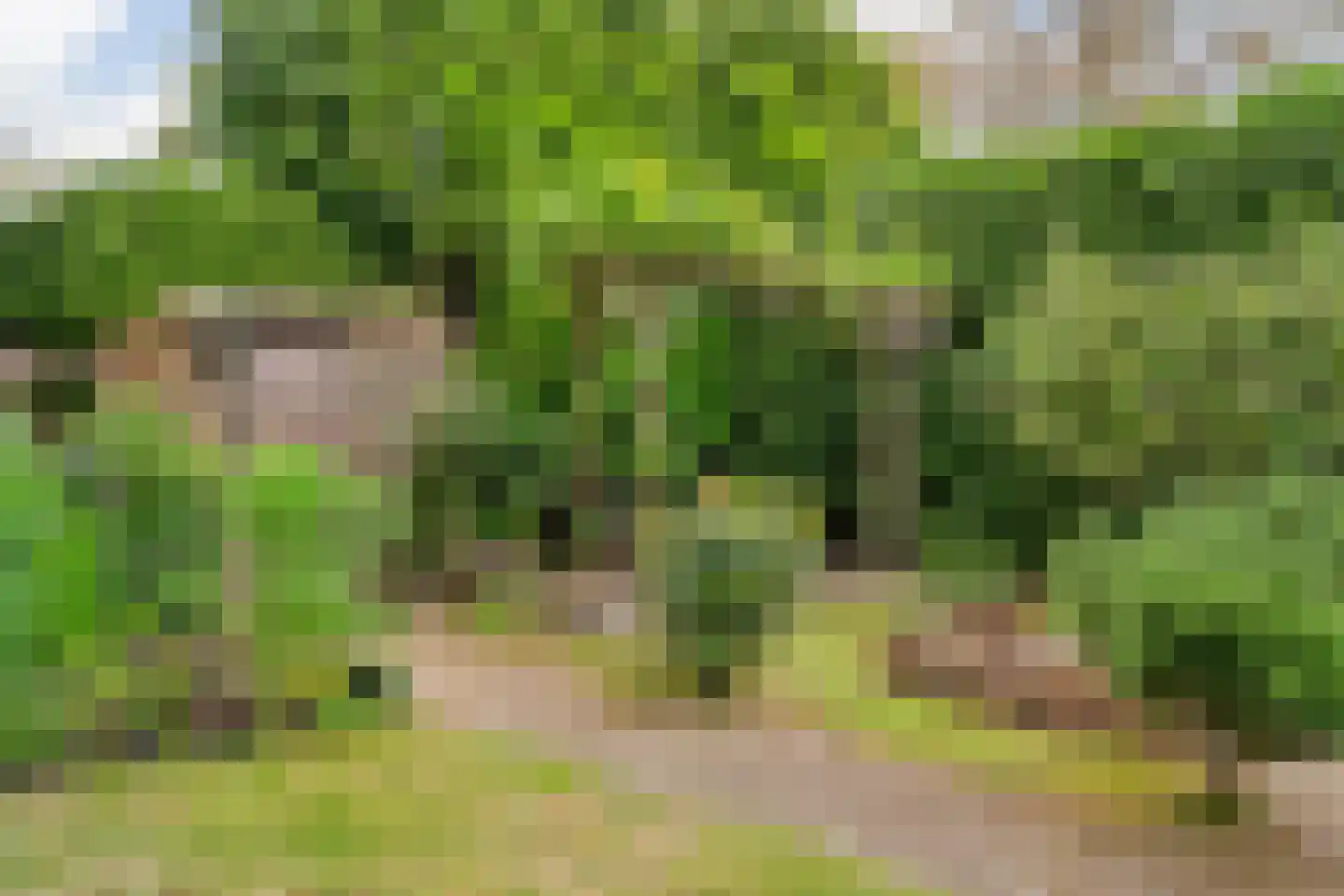 Othellodreef 97 Utrecht thumbnail 23