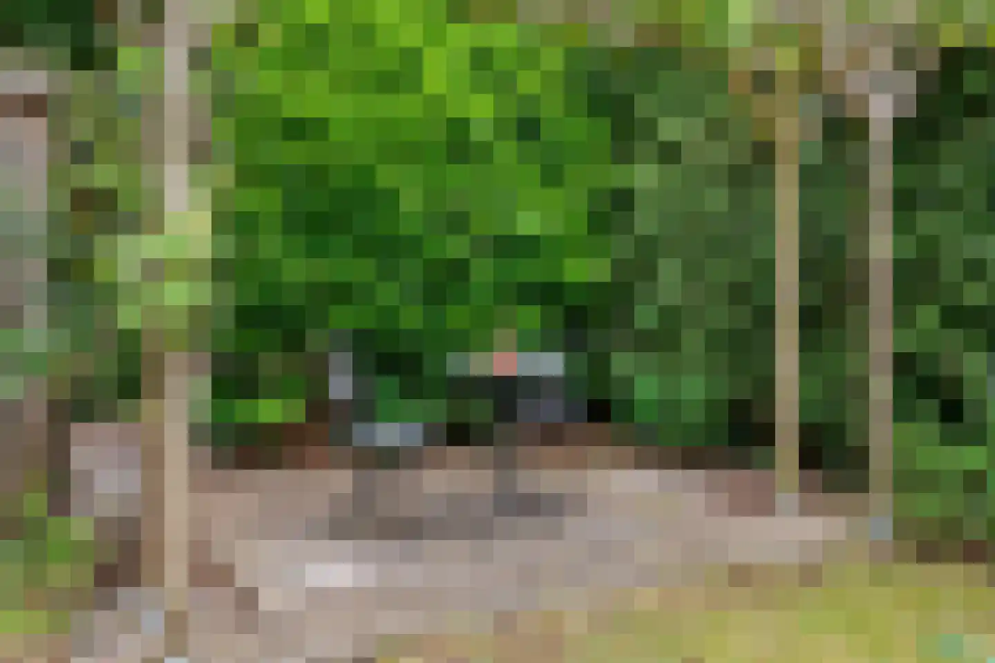 Othellodreef 97 Utrecht thumbnail 24