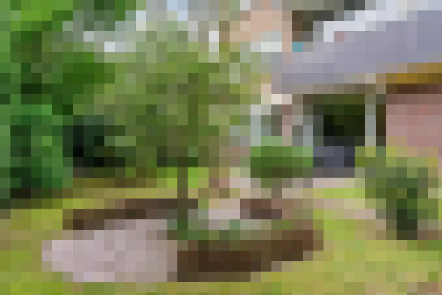 Othellodreef 97 Utrecht thumbnail 25